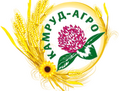 KAMRUD-TEHNO